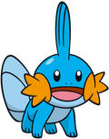 another mudkip mudkip, again. a small blue fish-like quadrupedal creature with a large extending fin on its head and backside, as well as bright orange fins on each facial cheek. its underbelly, lower half of face, and back fin are a lighter blue than the rest of the bod